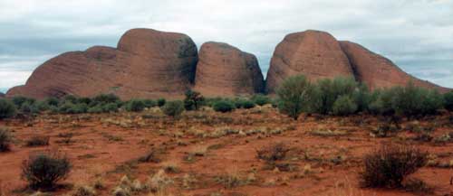 Olgas