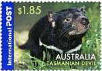 Tasmanischer Teufel
